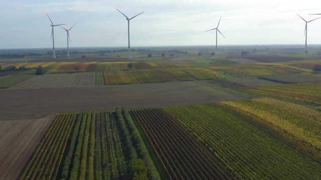 Aerial view of wind turbines beside vineyards in Germany. On a sunny day in Autumn, fall. Zoom in with pan to the left.