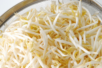 bean sprouts