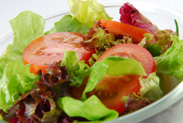 fresh salad