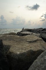 sunset on coast of sea