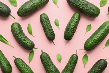 Fresh green cucumbers on color background