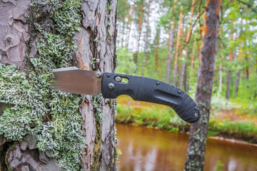 Naklejka premium Black mushroom knife is stuck in pine tree against taiga river in the forest.