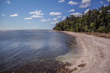 Trees lining a Lake Michigan beach in Door County, Wisconsin