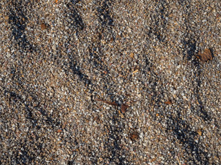 texture of coral sand with pieces of coral