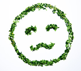 Leaf smile isolate on white background.