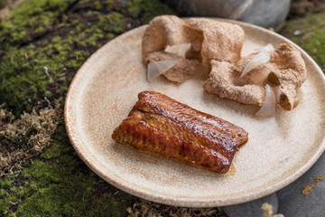 Japanese Grilled Eel with Sweet Unagi Sauce.