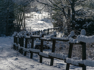 beautiful winter landscape with snowy tree fence, white road and snowy white trees