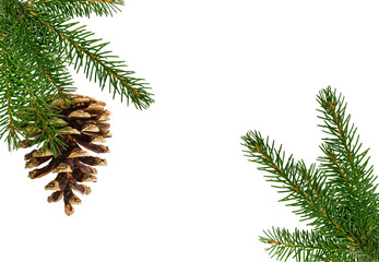 Fototapeta na wymiar Pinecone with spruce branch isolated on white background with clipping path