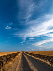 Fototapeta na wymiar Black straight path through the autumn levels. Lost on the horizon. Plowed furrows along the road. Beautiful panorama of the sky.