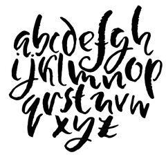 Hand drawn elegant calligraphy font. Modern brush lettering. Grunge style alphabet. Vector illustration.