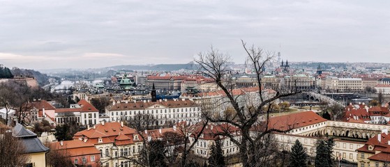 view of the city Prague. Czech republic