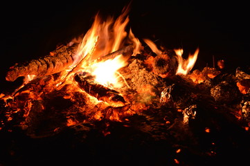 Firewood in a Canadian cold winter