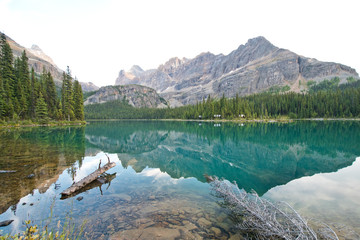 Beautiful lake O'hara in Yoho national park, Canada