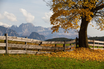 Herbst in Südtirol