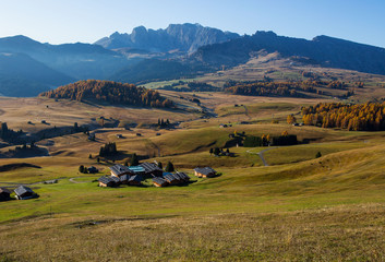 Obraz premium Goldener Herbst auf der Seiser Alm