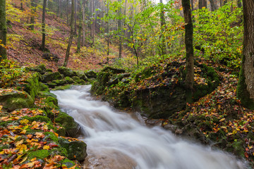 Fluss im Herbst im Wald mit Nebel