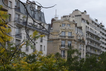 Fototapeta na wymiar rue de Paris (France) en automne 