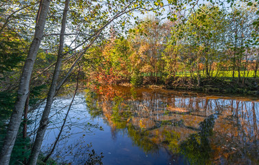 Autumn colors. by the riverbank. Sandane in Nordfjord - Norway
