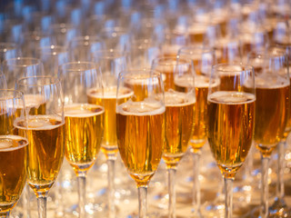 a row of glasses filled with champagne are lined up ready to be served
