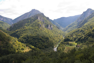 Naklejka premium Mountain river in a canyon in the mountains of Montenegro. Selective focus.