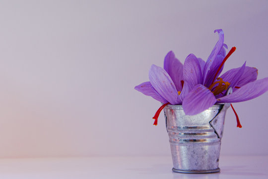 Aluminum bucket with saffron flower