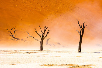 Le vent souffle dans le désert de Sossusvlei en Namibie, Afrique