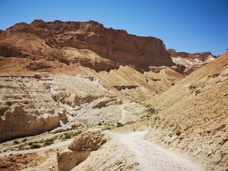 Fototapeta premium trail in the desert