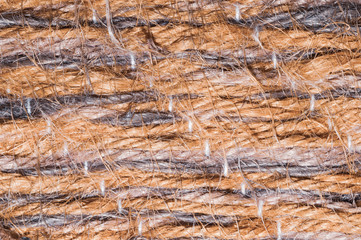 Fabric material macro. textile background. colorful rug close up