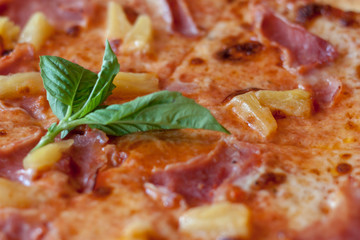 Hawaiian Pizza Closeup