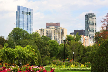 Modern buildings and park in Boston city