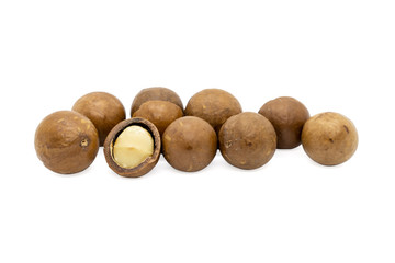 Macadamia nut isolated on white background.