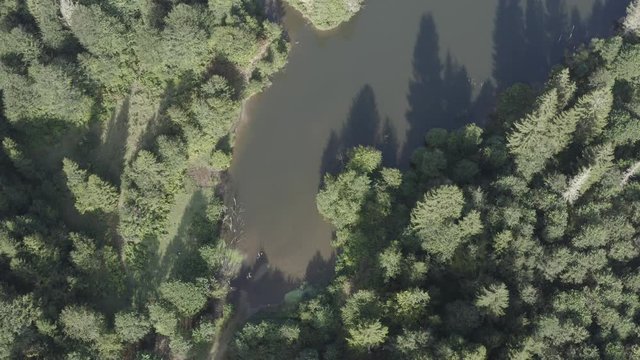 Trabzon City Pond Middle of Forest Top View