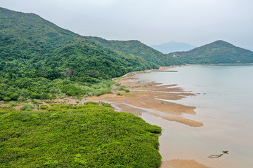 Aerial view of Mangrove and seashore at Hong Kong
