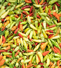 Mix color chilli texture background