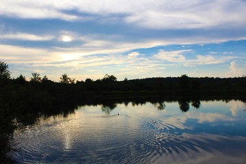 Beautiful view of the Finzel Swamp in Maryland
