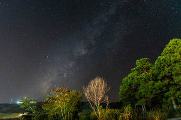 Milky Way Stars and galaxies with green tree in Mountain of night sky.