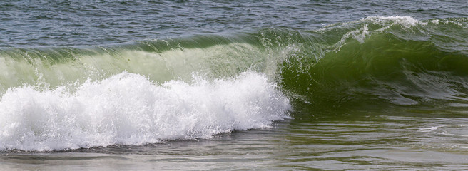 Fototapeta premium Ocean wave breaking along the shore of Fire Island New York