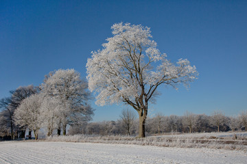 Rural country winter landscape with blue sky