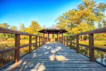 WROCLAW, POLAND - OCTOBER 18, 2019: Japanese Garden is situated in the vicinity of the historical...