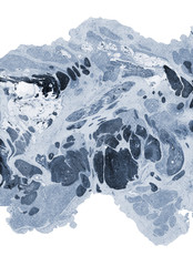 Beautiful abstract ocean background. Acrylic painting. Marble texture. Mixed blue, light grey, indigo paints on wet paper. Contemporary design. Unusual art technique. Elegant colours