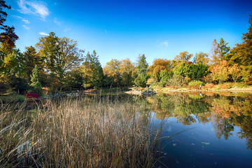 WROCLAW, POLAND - OCTOBER 18, 2019: Japanese Garden is situated in the vicinity of the historical...