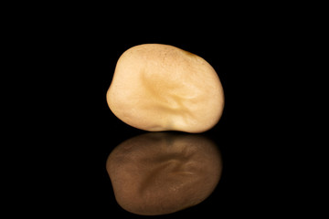 One whole fresh brown bean vicia faba isolated on black glass