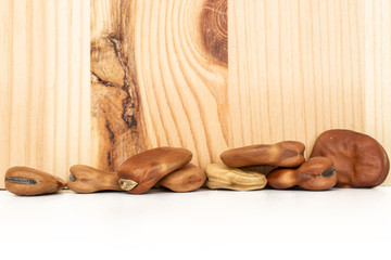 Lot of whole fresh brown bean vicia faba with wood behind isolated on white background