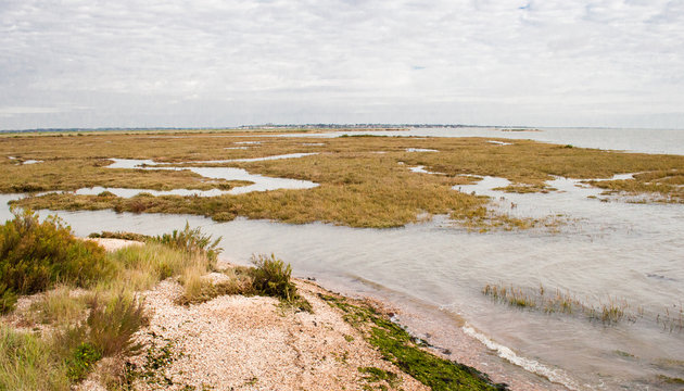 Distant View of Mersea Island from Tollesbury Wick, Essex