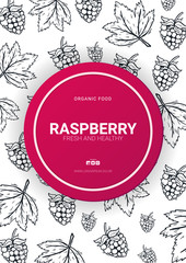 Berries banner with raspberries. Food design template with berry.