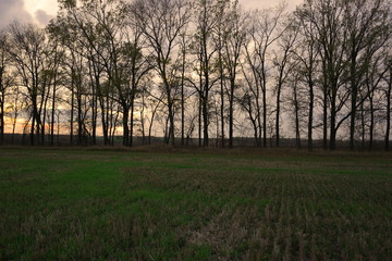 Obraz premium nature