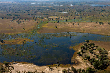 Aerial view - Okavango Delta - Botswana - Africa