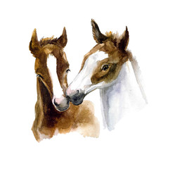 Cute watercolor horses on the white background © Татьяна Комцян