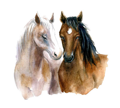 Cute watercolor horses on the white background