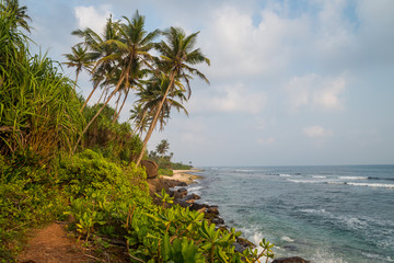 Fototapeta na wymiar Beautiful ocean view from the jungle